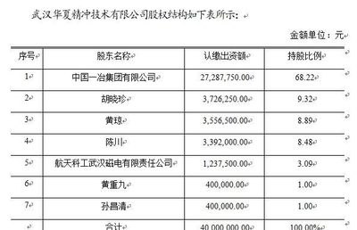 武漢精沖技術(shù)研發(fā)公司核心項(xiàng)目轉(zhuǎn)讓公告